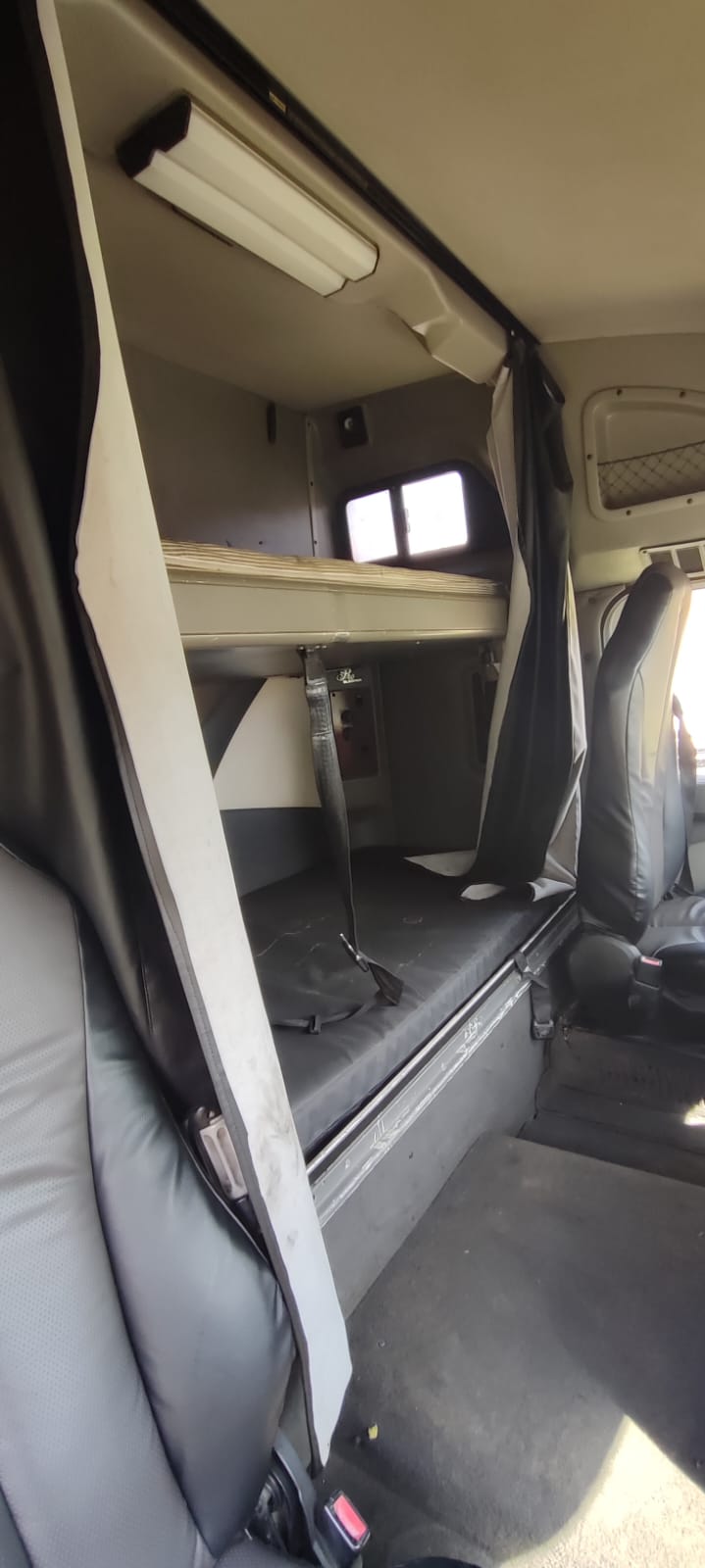 2010 International Horse Automatic