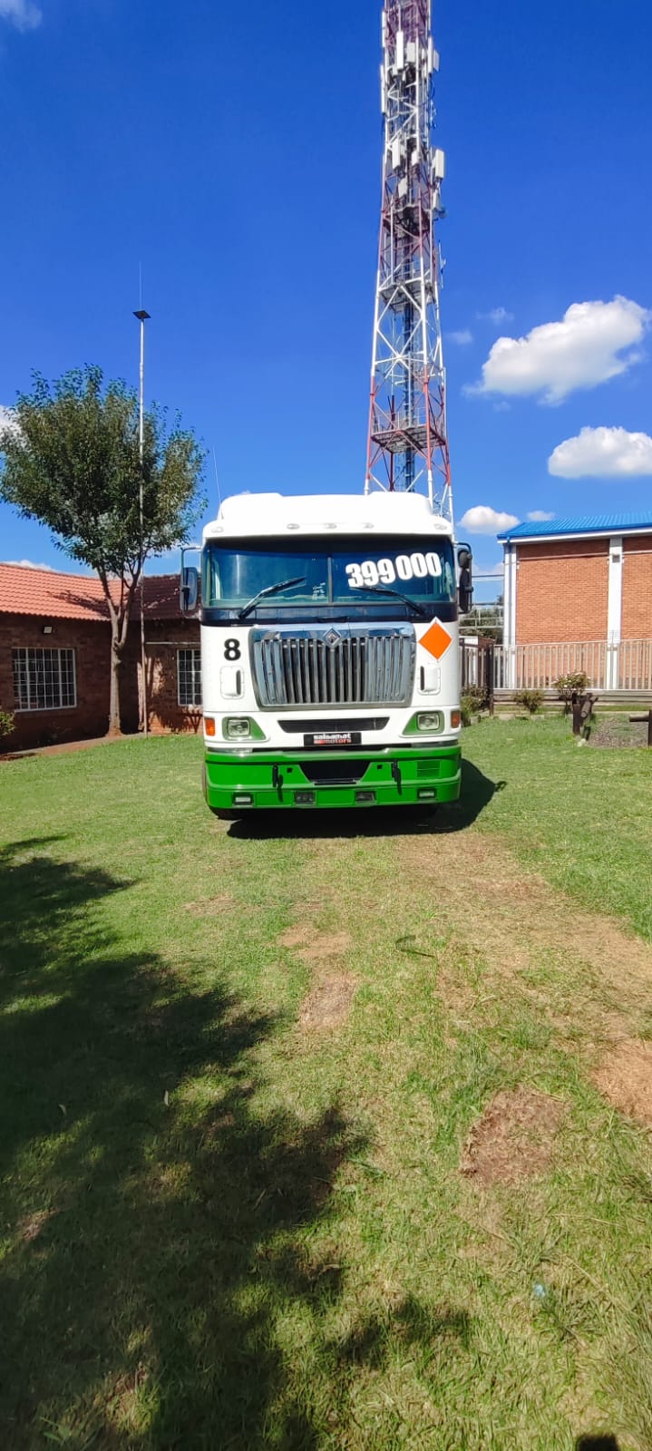 2010 International Horse Automatic