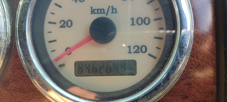 2010 International Horse Automatic