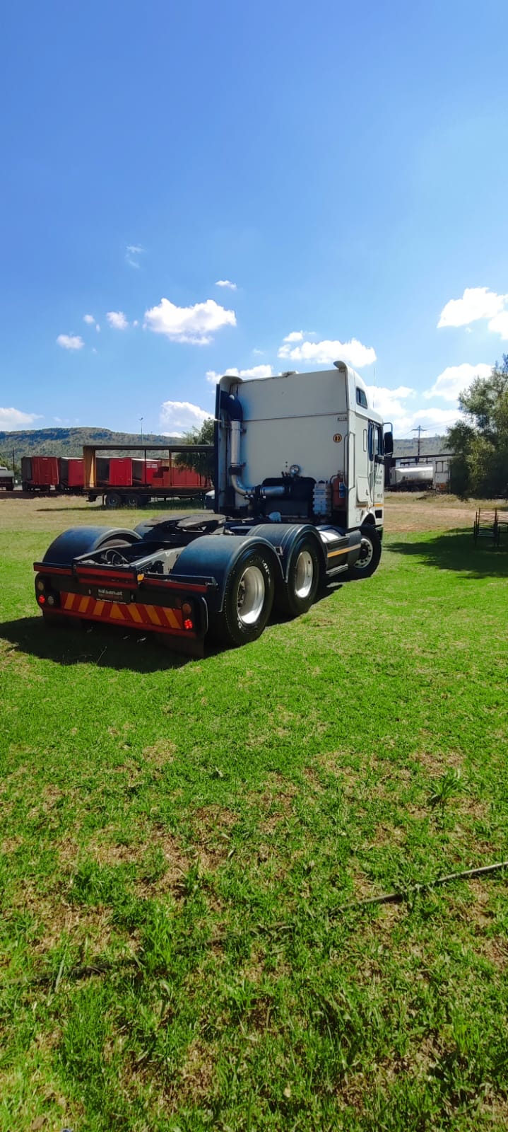 2010 International Horse Automatic