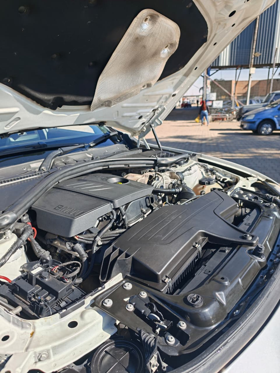 2013 BMW 316i