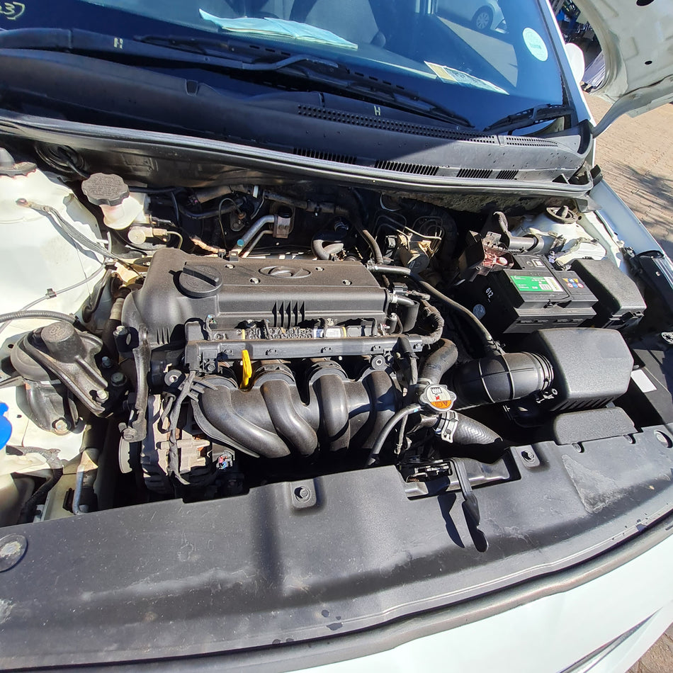 2016 Hyundai Accent  Hatch 1.6 Fluid
