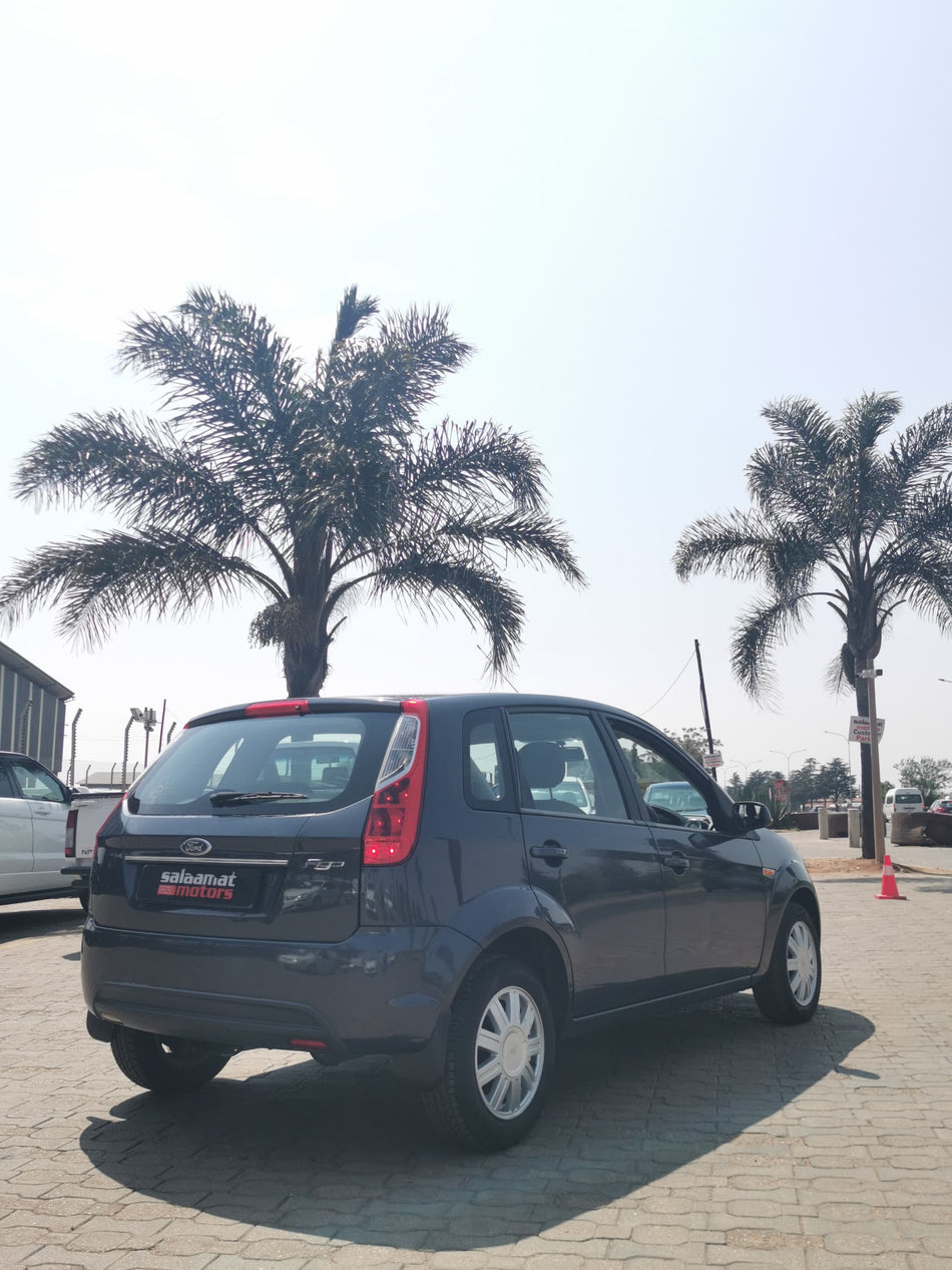 2010 Ford Figo